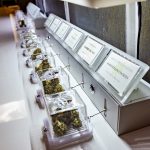 R.I. cannabis sales grow modestly by 3.17% in Q2