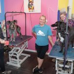 GETTING A GLOW UP: Maia Chrupcala, center, owner of dog day care and grooming business The Wiggle Room in Middletown, is pictured with, from left, groomers Ness Sierra, Lauryn Gregory and Brooke Higgins. The dogs are Alfie, left, and Cora. PBN PHOTO/DAVID HANSEN