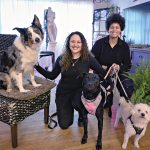 CALM CANINES: Sheila Rose, right, and Ashly Rose operate and own The Peaceful Pack, a luxury in-home dog boarding, day care and pet care service in Johnston. They are pictured with, from left, an Australian shepherd named Max; a pitbull mix named Portia; and a Maltipoo named T’Co.  PBN PHOTO/MICHAEL SALERNO