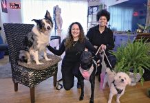Everybody’s Business: Providing a calming touch for dogs CALM CANINES: Sheila Rose, right, and Ashly Rose operate and own The Peaceful Pack, a luxury in-home dog boarding, day care and pet care service in Johnston. They are pictured with, from left, an Australian shepherd named Max; a pitbull mix named Portia; and a Maltipoo named T’Co.
PBN PHOTO/MICHAEL SALERNO