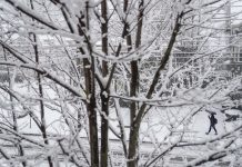 ISO New England says electric grid ready for winter energy demand