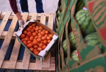 Government says SNAP benefit cuts won’t be as deep as announced for some families