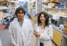 REVEALING INVENTION: University of Rhode Island associate professor Claudia Fallini, right, and postdoctoral fellow Riccardo Sirtori display a small, low-cost device they helped develop at URI’s South Kingstown campus to study the long-term degenerative effects of traumatic brain injury.  PBN PHOTO/­MICHAEL SALERNO