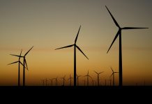 Federal judge throws out Trump order blocking development of wind energy