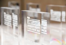 2025 Diversity Equity and Inclusion Summit and Award Photos