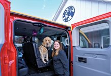 ALL ABOARD: Leslie Filippelli-­DiManna runs pet shuttle service The Doggie Waggin’ in Smithfield. She is pictured with Maverick, a 2-year-old golden retriever.  PBN PHOTO/MICHAEL SALERNO