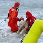 R.I. firefighters rescue a yellow Lab from an icy pond on New Year’s Day