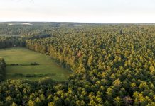 The Nature Conservancy acquires 105 acres in West Greenwich