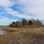 70 acres of Portsmouth cove placed under DEM protection