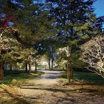 Tech helps spark a boom In landscape lighting NIGHTLIGHT: This is an example of moonlighting along a driveway in Barrington. New England Landscape Lighting Inc. placed lights in the trees so the soft beam filters through the branches.
COURTESY NEW ENGLAND LANDSCAPE LIGHTING INC.