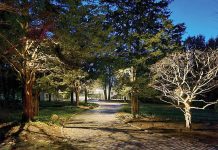 NIGHTLIGHT: This is an example of moonlighting along a driveway in Barrington. New England Landscape Lighting Inc. placed lights in the trees so the soft beam filters through the branches.  COURTESY NEW ENGLAND LANDSCAPE LIGHTING INC.