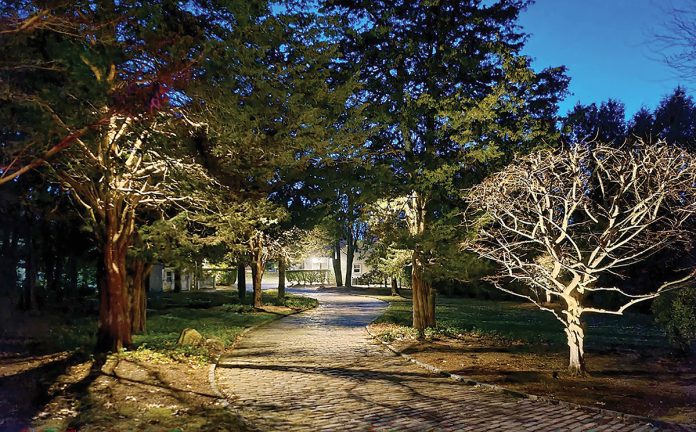 NIGHTLIGHT: This is an example of moonlighting along a driveway in Barrington. New England Landscape Lighting Inc. placed lights in the trees so the soft beam filters through the branches.  COURTESY NEW ENGLAND LANDSCAPE LIGHTING INC.