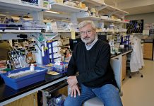 Brown researchers testing HIV drug for anti-aging traits TESTING BOUNDARIES: Brown University biology professor John Sedivy, director of Brown’s Center on the Biology of Aging, will help lead a research team running a clinical trial to see if the drug censavudine can slow the human aging process.
PBN PHOTO/MICHAEL SALERNO