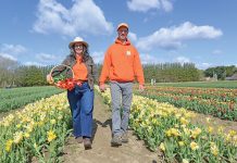 Flower farm consolidates R.I. locations, expands tulip production DOMESTIC BULBS: Wicked Tulips flower farm owners Keriann and Jeroen Koeman are now growing flowers from their own bulbs instead of Dutch and Canadian bulbs like they used to, a first for tulip farms in the Northeast, they say.
PBN PHOTO/ELIZABETH GRAHAM