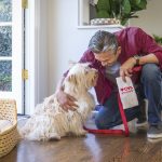 CVS to now fill pet medication prescriptions