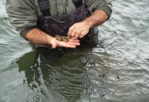 THE NSF SEAFOOD Engine aims to grow New England’s historical seafood industry and tech sector into a more profitable pillars of the regional and national economy, officials say. / COURTESY UNIVERSITY OF RHODE ISLAND/ NORA LEWIS