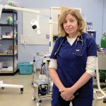 LOST CONNECTION? Some veterinarians, such as Dr. Joyce Gifford at Abbott Valley Veterinary Center in Cumberland, are concerned that a new pet telehealth law will lead to difficulties in providing proper care.  PBN PHOTO/MICHAEL SALERNO