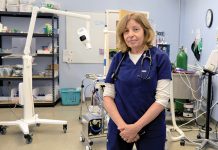 LOST CONNECTION? Some veterinarians, such as Dr. Joyce Gifford at Abbott Valley Veterinary Center in Cumberland, are concerned that a new pet telehealth law will lead to difficulties in providing proper care.  PBN PHOTO/MICHAEL SALERNO