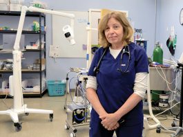 Veterinarians question R.I.’s new telehealth law LOST CONNECTION? Some veterinarians, such as Dr. Joyce Gifford at Abbott Valley Veterinary Center in Cumberland, are concerned that a new pet telehealth law will lead to difficulties in providing proper care.
PBN PHOTO/MICHAEL SALERNO
