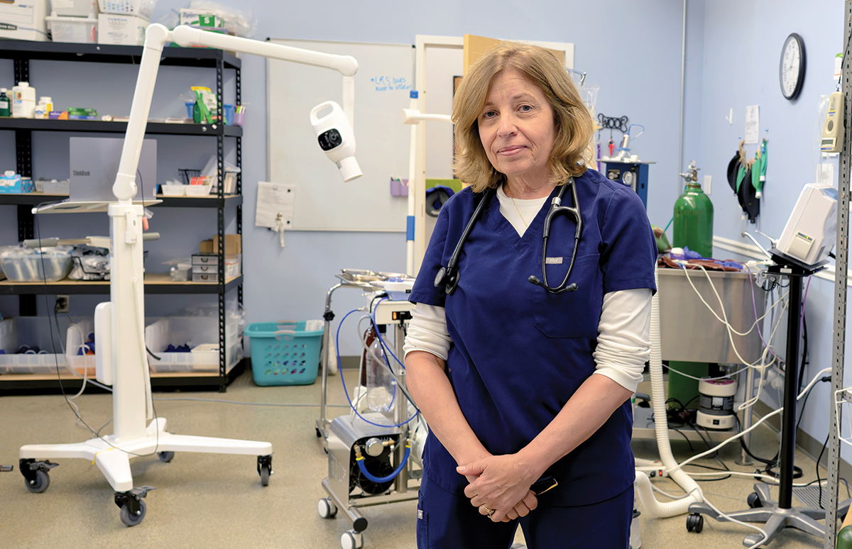 Veterinarians question R.I.’s new telehealth law