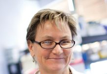 Driving Forces: Dr. Anne S. DeGroot Dr. Anne S. DeGroot