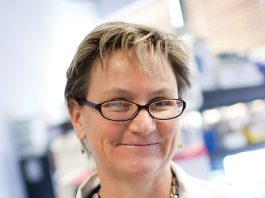 Dr. Anne S. DeGroot
