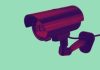 Do you support the use of Flock cameras in local communities?