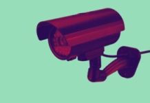 Do you support the use of Flock cameras in local communities?