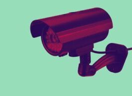 Do you support the use of Flock cameras in local communities?