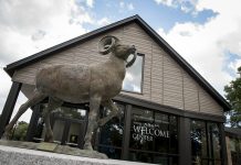 URI to reconsider running its own payroll amid state’s Workday troubles