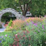 Blithewold Arboretum earns recognition for 30 champion trees in Rhode Island