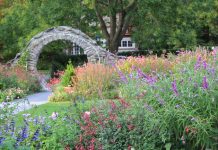 Blithewold Arboretum earns recognition for 30 champion trees in Rhode Island