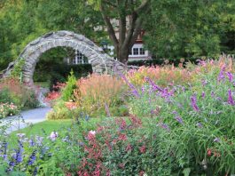 Blithewold Arboretum earns recognition for 30 champion trees in Rhode Island