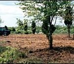 Land clearing underway at TheVillage at South County Commons.(Tom Croke)
