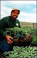 Vinny Confreda ofConfreda Farms,Warwick. (Tom Croke) Vinny Confreda of<br>Confreda Farms,<br>Warwick. (Tom Croke)