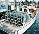 Michael Marchetti works on his lobsterpots in Galilee.