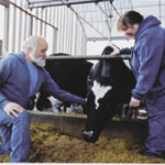 Dairy farms in RI battle to stay alive Louis and Jane Escobar at their Highland Farmin Portsmouth.