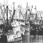 Fishing boats along Narragansett Bay.