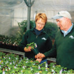 Cultivating a green-thumb following Briggs greenhouse co-managers Sharon Smith and Jim Dunn are already preparing for spring.