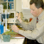 Turf technology takes root Jeff R. Seemann of URI at HybriGene.