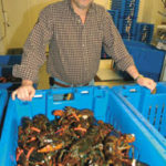 Rhode Island lobstermen encounter rough waters Kevin Bates of Ocean State Lobsterhas lost business due to the dwindlinglobster population.