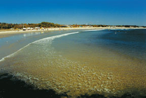 Narragansett Town Beach Narragansett Town Beach