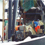 Fishing families a dying breed Generations of fishing families have been depleteddue to more attractive industries.