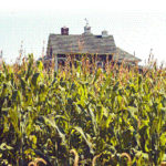 Between 2000 and 2002, the median single-familyhome price in Rehoboth has jumped 64 percent.
