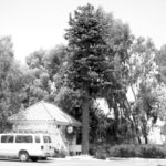 Companies find ways to hide cell phone towers Cell phone towers are trying to disguise their towersin residential communities.