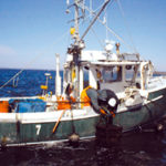 Workers from American Mussel Harvesters set oyster trays in Narragansett Bay.