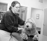 Animal hospital a dogged effort DR. JANE LINDEN owner of Providence River Animal Hospital, examines a patient.