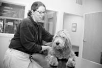 <b>DR. JANE LINDEN</b> owner of Providence River Animal Hospital, examines a patient. <b>DR. JANE LINDEN</b> owner of Providence River Animal Hospital, examines a patient.