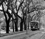 Collette works to revive tourism in New Orleans Photo Courtesy www.Neworleansonline.com
A streetcar goes down Charles Street in New Orleans, one of the spots where
Collette Vacations is taking a tour group this month.