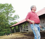 PBN Staff photo/Stephanie Ewens
FARMER JOE BOSSOM chose to sell his 200-acre farm in Tiverton to a nonprofit developer to preserve at least part of it for farming and provide affordable housing for artists on most of the rest.